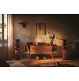 DYNAUDIO Contour Legacy