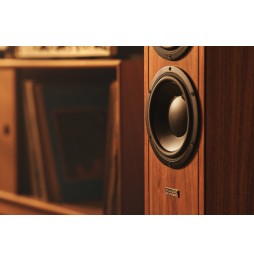 DYNAUDIO Contour Legacy