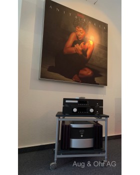 KOMBI mit TRIGON TRV 100 & RECALL CD-Player in bicolor und MARK LEVINSON ML 335