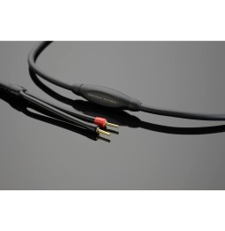 MUSICWAVE SPEAKER CABLE - Standard