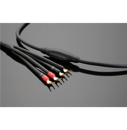 MUSICWAVE SPEAKER CABLE - Standard