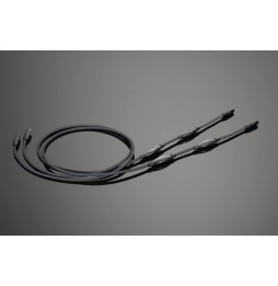REFERENCE BALANCED - XLR Interconnects