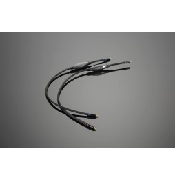 XL RCA (Cinch) - RCA Interconnects