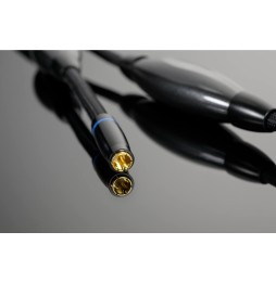 XL RCA (Cinch) - RCA Interconnects