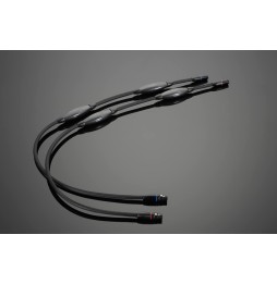 XL BALANCED - XLR Interconnects