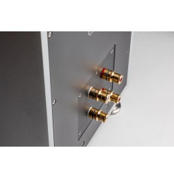 Steinheim - ALUMINE FIVE - Bi-Wiring