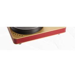 Der Blackbird  von Dr. Feickert Analogue ist ein analoges Meisterwerk. | zu kaufen in Zürich