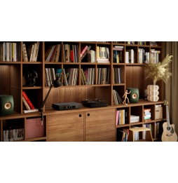 HEGEL H150 - Streaming Verstärker