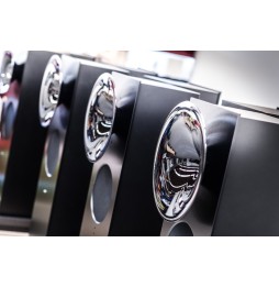 OPUS 1 von Avantgarde Acoustic - Horn black