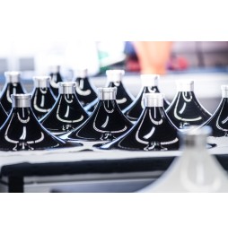 OPUS 1 von Avantgarde Acoustic - Horn black