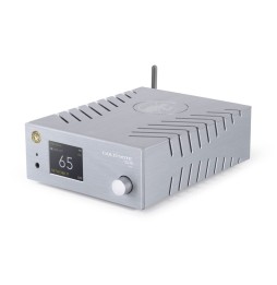 DS-10 EVO von Gold Note in silver