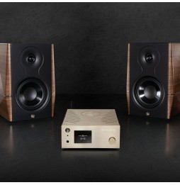 IS-10 All-In-One Vollverstärker von Gold Note