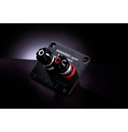LEGEND von Dynaudio - Anschlüsse