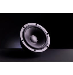 LEGEND von Dynaudio - Woofer-ThreeQuarter