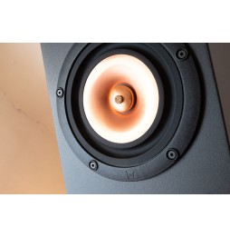 Lindemann Audio - MOVE mini