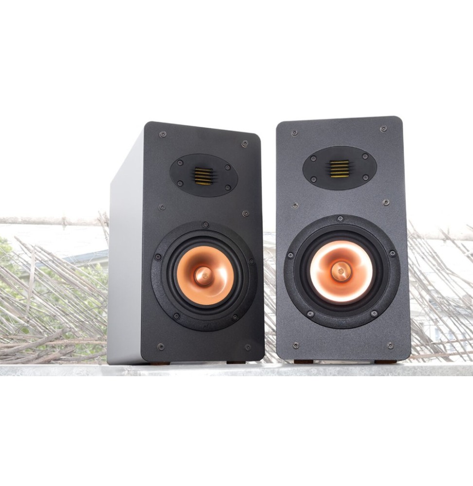 Lindemann Audio - MOVE mini