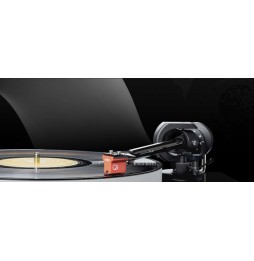 MC QUINTET RED aus der MC Quintet von ORTOFON