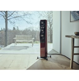 Dynaudio CONFIDENCE 30i - Ruby Wood High Gloss