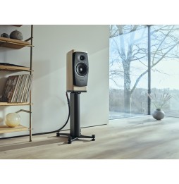 Dynaudio CONFIDENCE 20i - Blonde Wood