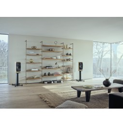 Dynaudio CONFIDENCE 20i - Blonde Wood