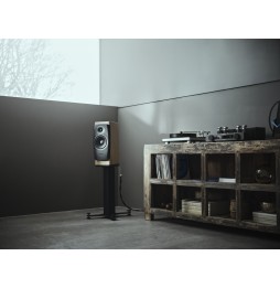 Dynaudio CONFIDENCE 20i - Blonde Wood