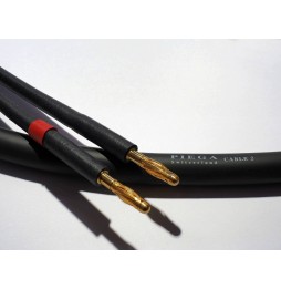 PIEGA CableTWO