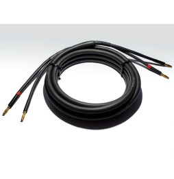 PIEGA CableTWO