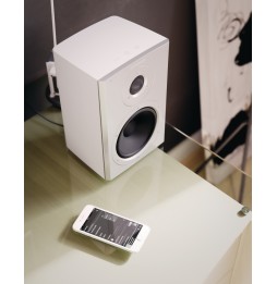 Dynaudio Xeo 2