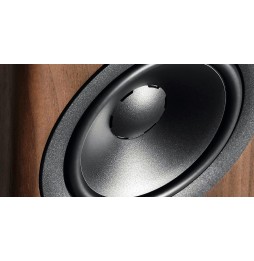 Dynaudio EVOKE