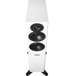 Dynaudio EVOKE 30