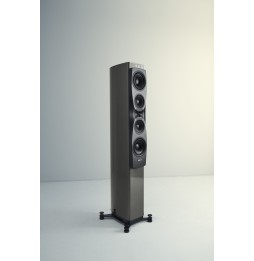 Dynaudio CONFIDENCE 50 - Smoke High Gloss