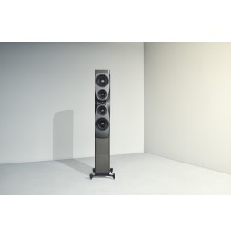 Dynaudio CONFIDENCE 50 - Smoke High Gloss