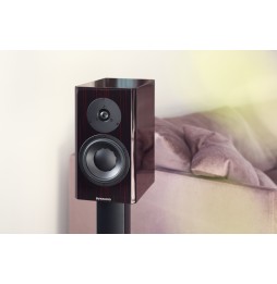 Dynaudio SPECIAL FORTY - Black Vine