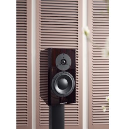 Dynaudio SPECIAL FORTY - Black Vine