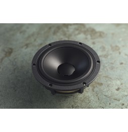 Dynaudio CONTOUR 60i - Mittelhochtöner