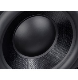 PIEGA - PS 101 Subwoofer