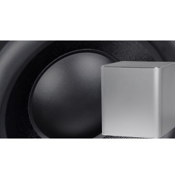 PIEGA - PS 101 Subwoofer