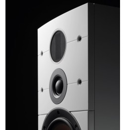 DALI Callisto 6C mit Sound Hub und BlueOS Streaming Modul