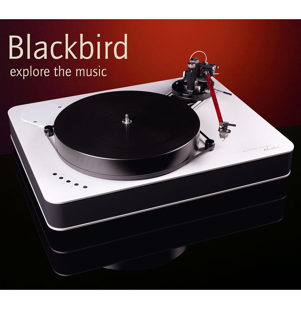 Dr. Feickert Analogue - BLACKBIRD