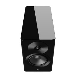 Dynaudio Focus 10