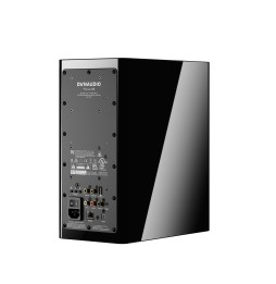 Dynaudio Focus 10