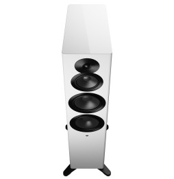 Dynaudio Focus 50