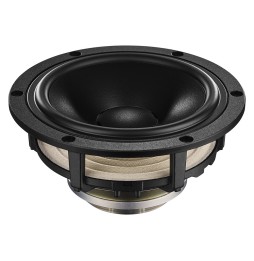 Dynaudio Focus 50 - Midrange